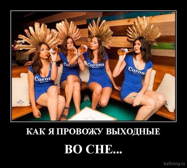 Хостинг картинок yapx.ru