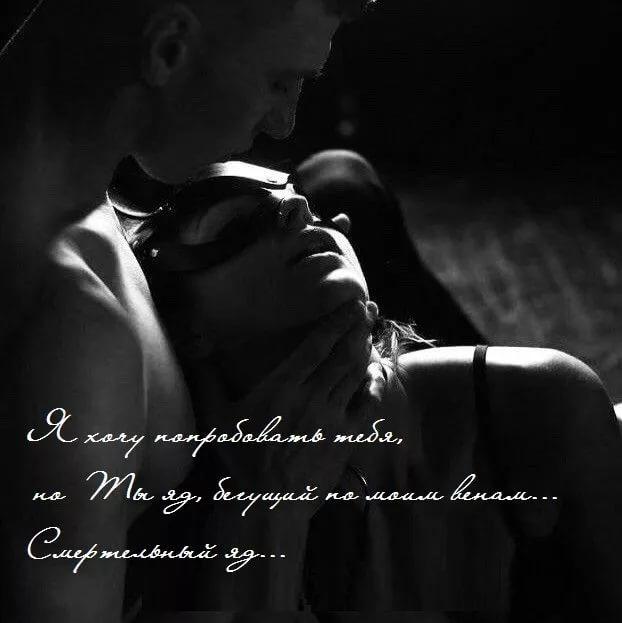 Хостинг картинок yapx.ru