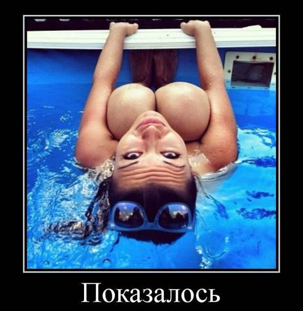 Хостинг картинок yapx.ru