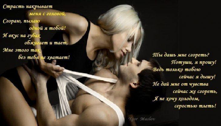 Хостинг картинок yapx.ru