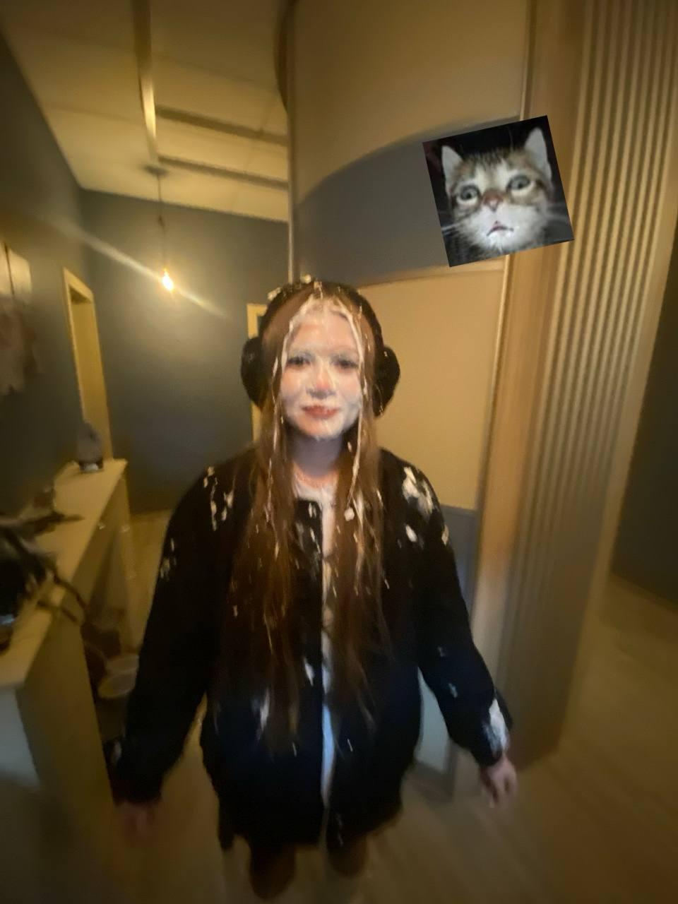 Угарное фото в антотку запустили торт, кот недоволен. Угарное фото в антотку запустили торт, кот недоволен.