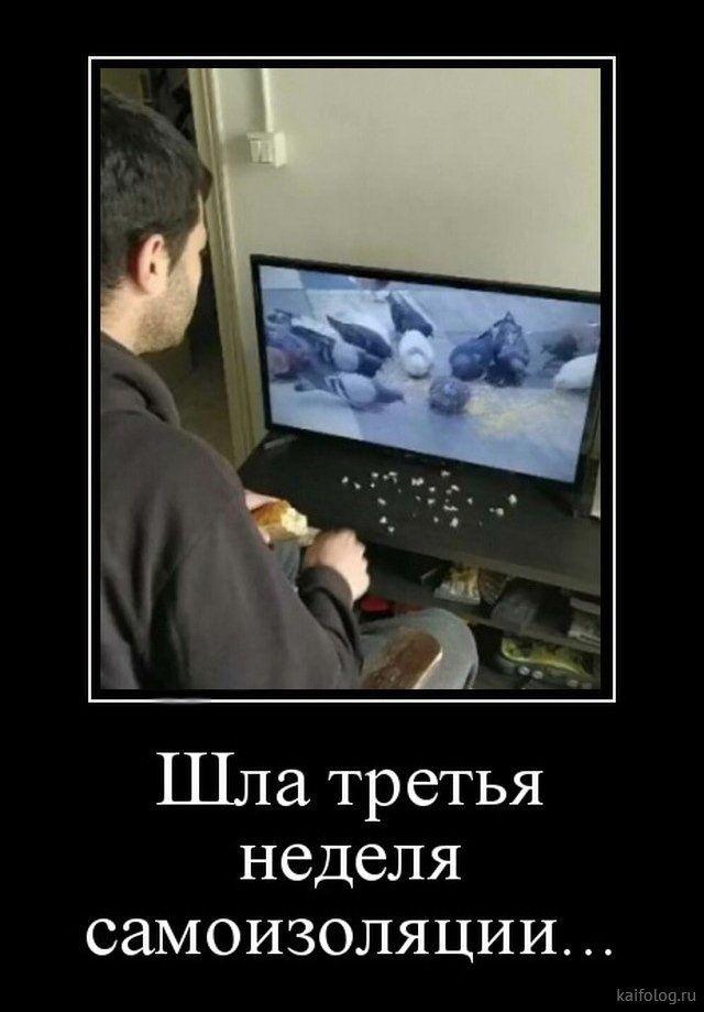 Хостинг картинок yapx.ru