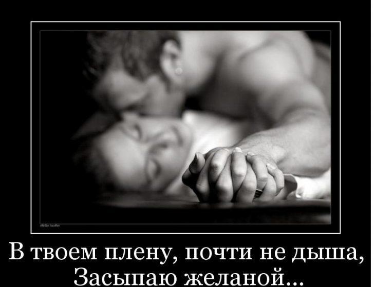 Хостинг картинок yapx.ru