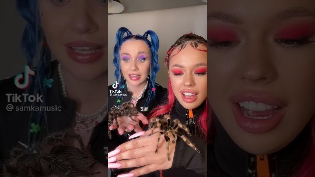 Миа Бойка и Инстасамка с ПАУКАМИ - YouTube. Миа Бойка и Инстасамка с ПАУКАМИ - YouTube.