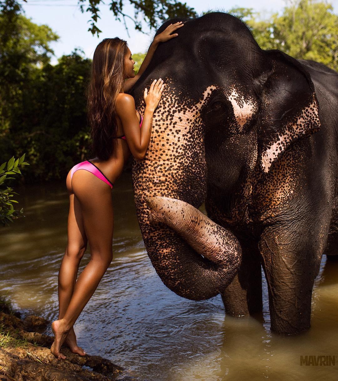 Хостинг картинок yapx.ru