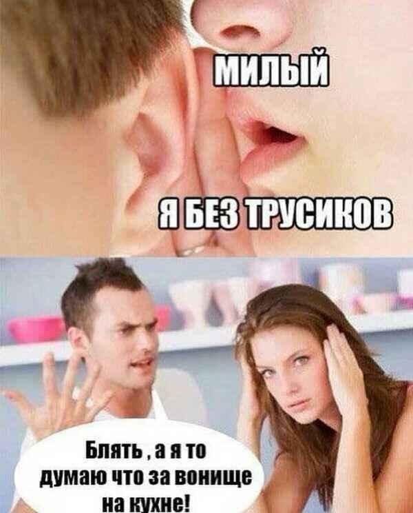 Хостинг картинок yapx.ru