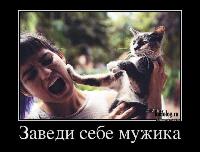 Хостинг картинок yapx.ru