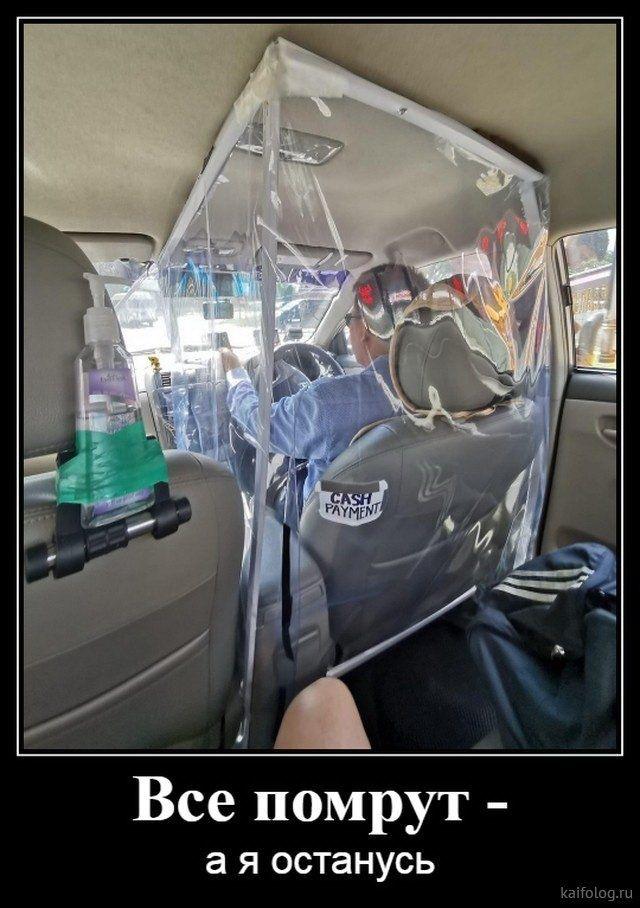 Хостинг картинок yapx.ru