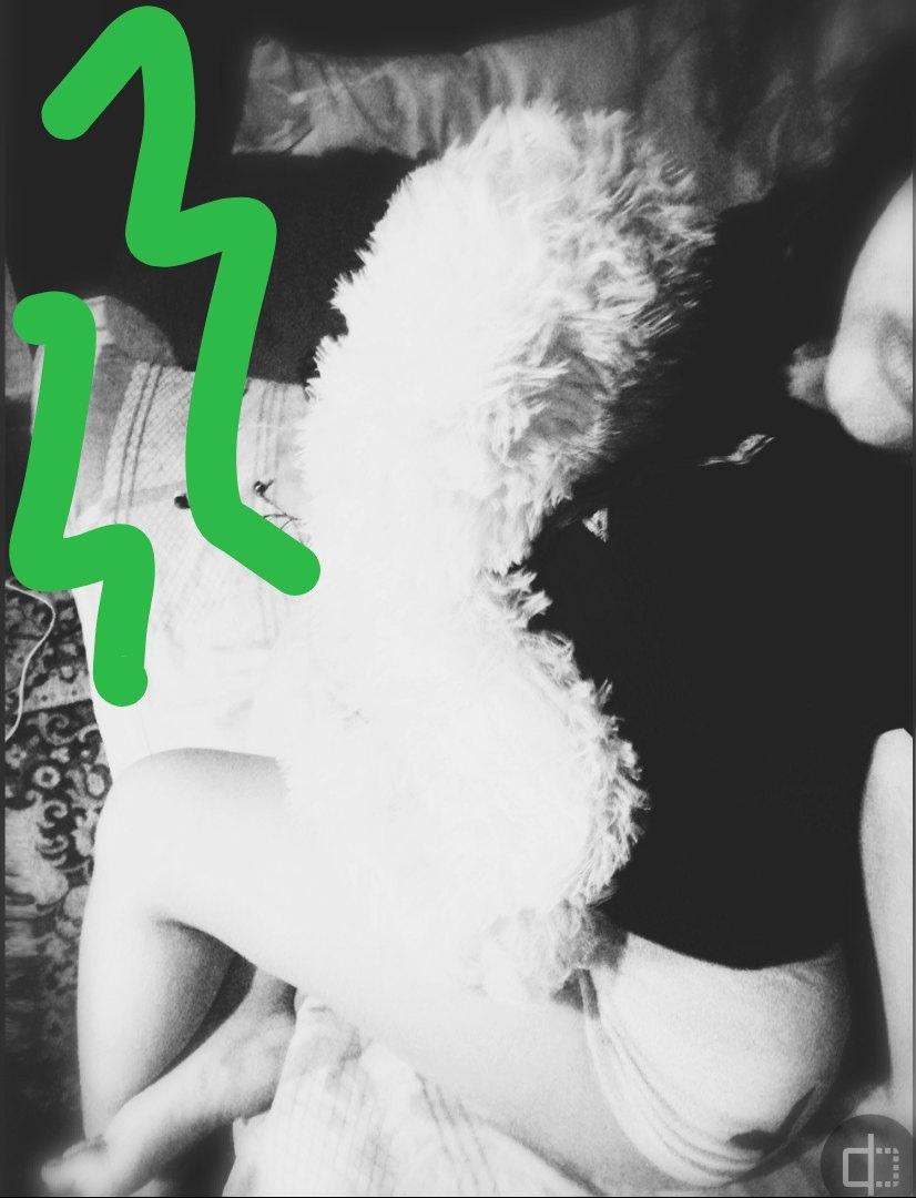 Хостинг картинок yapx.ru