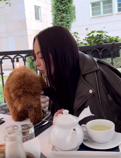 Хостинг картинок yapx.ru