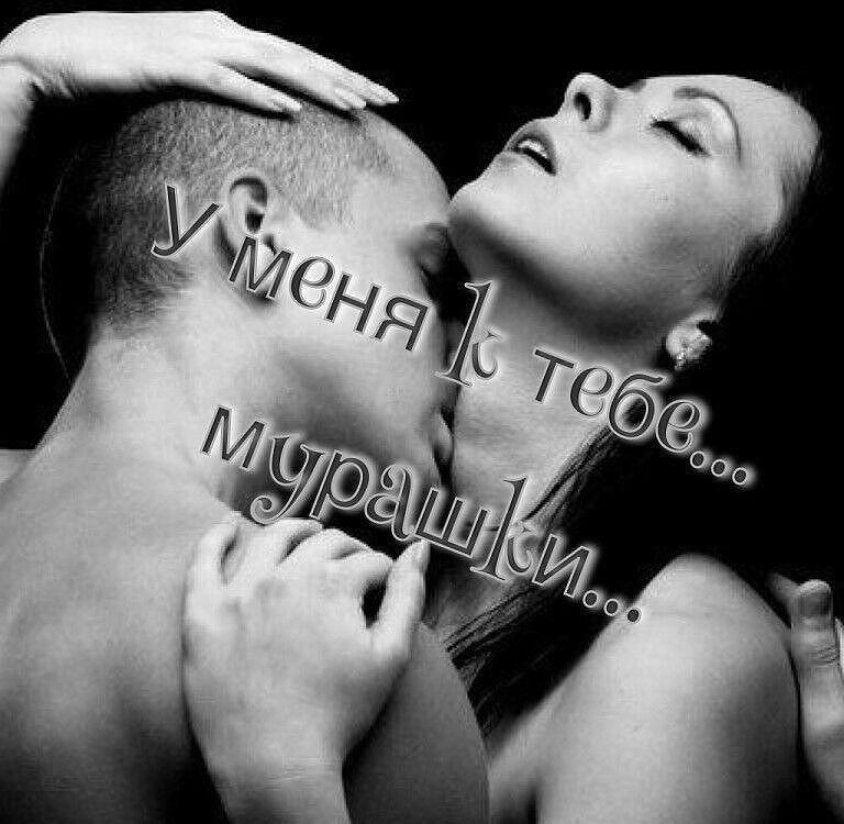 Хостинг картинок yapx.ru