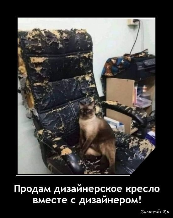 Хостинг картинок yapx.ru