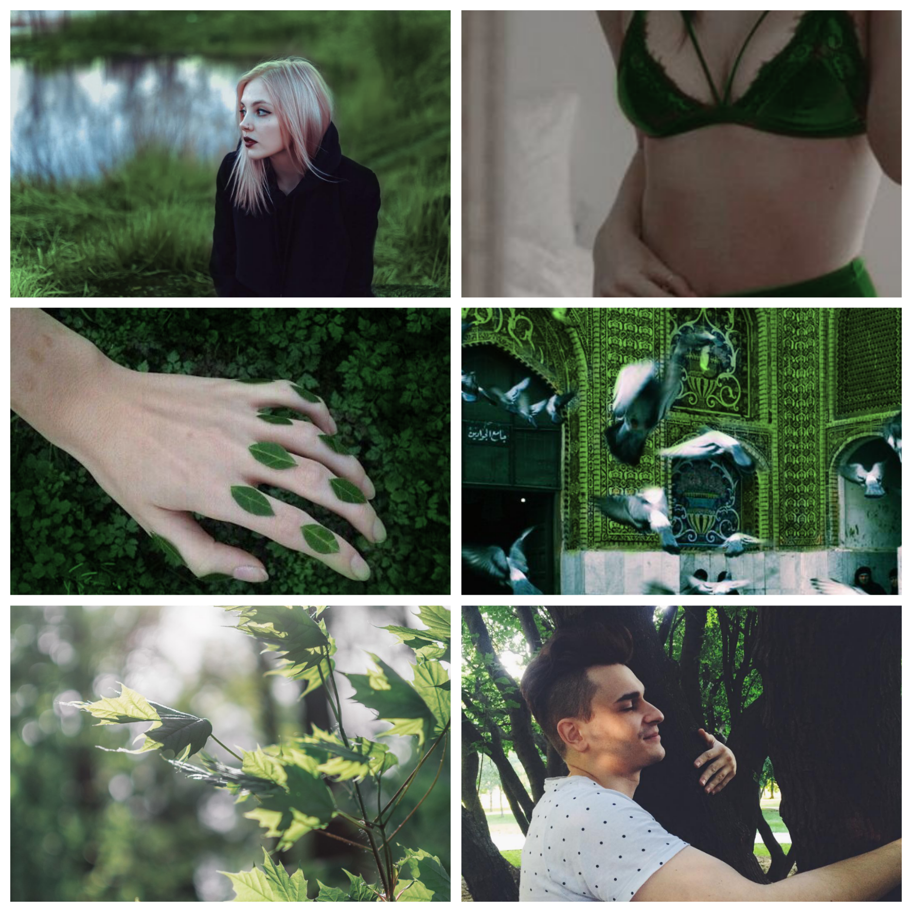 Хостинг картинок yapx.ru