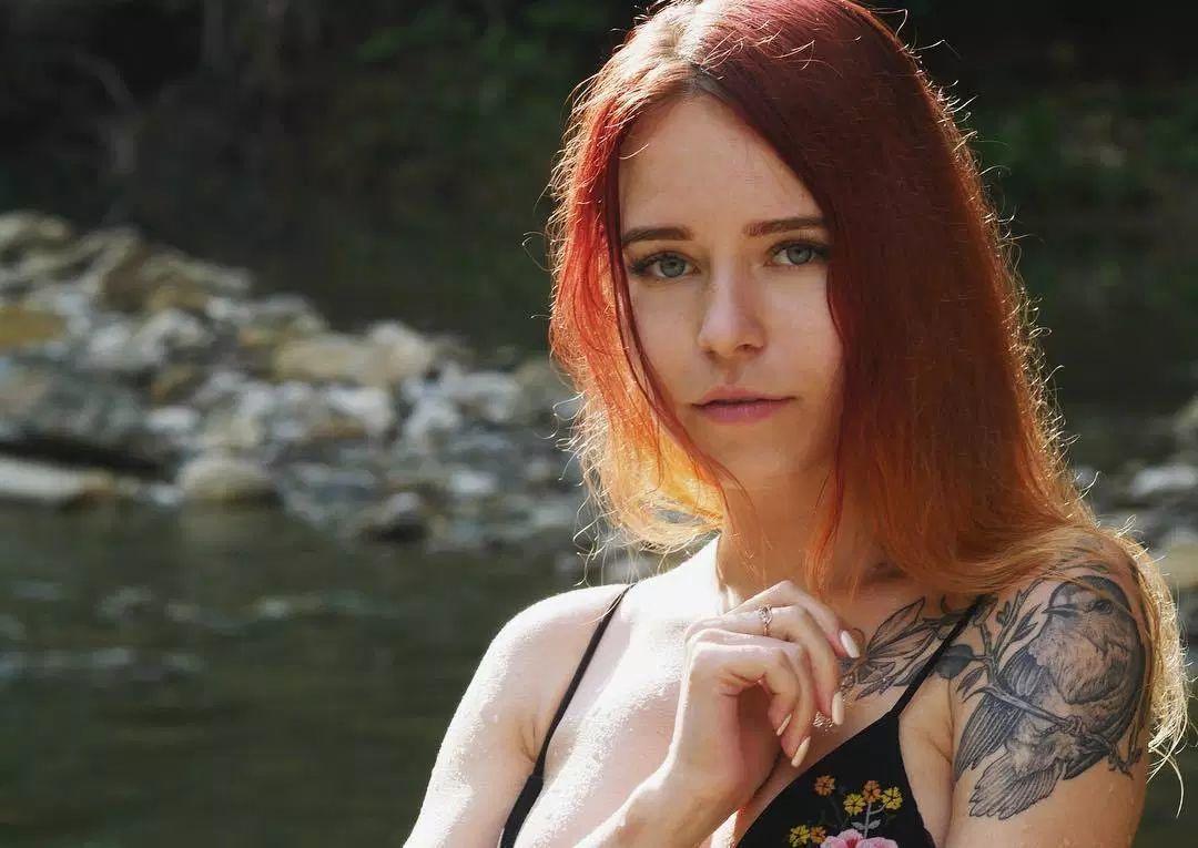 Сливы СТРИМЕРШИ Денли