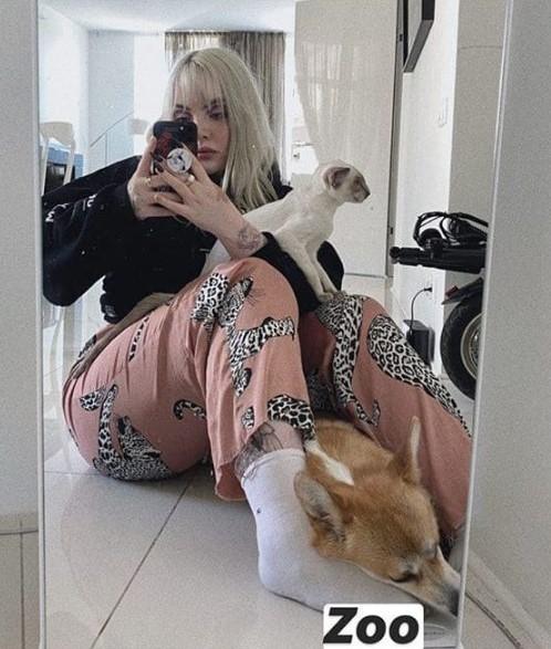 Хостинг картинок yapx.ru