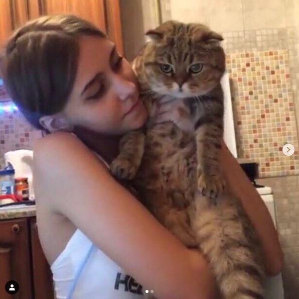 Vikared (Виктория Красненькая): биография стримерши Vikared (Виктория Красненькая): биография стримерши