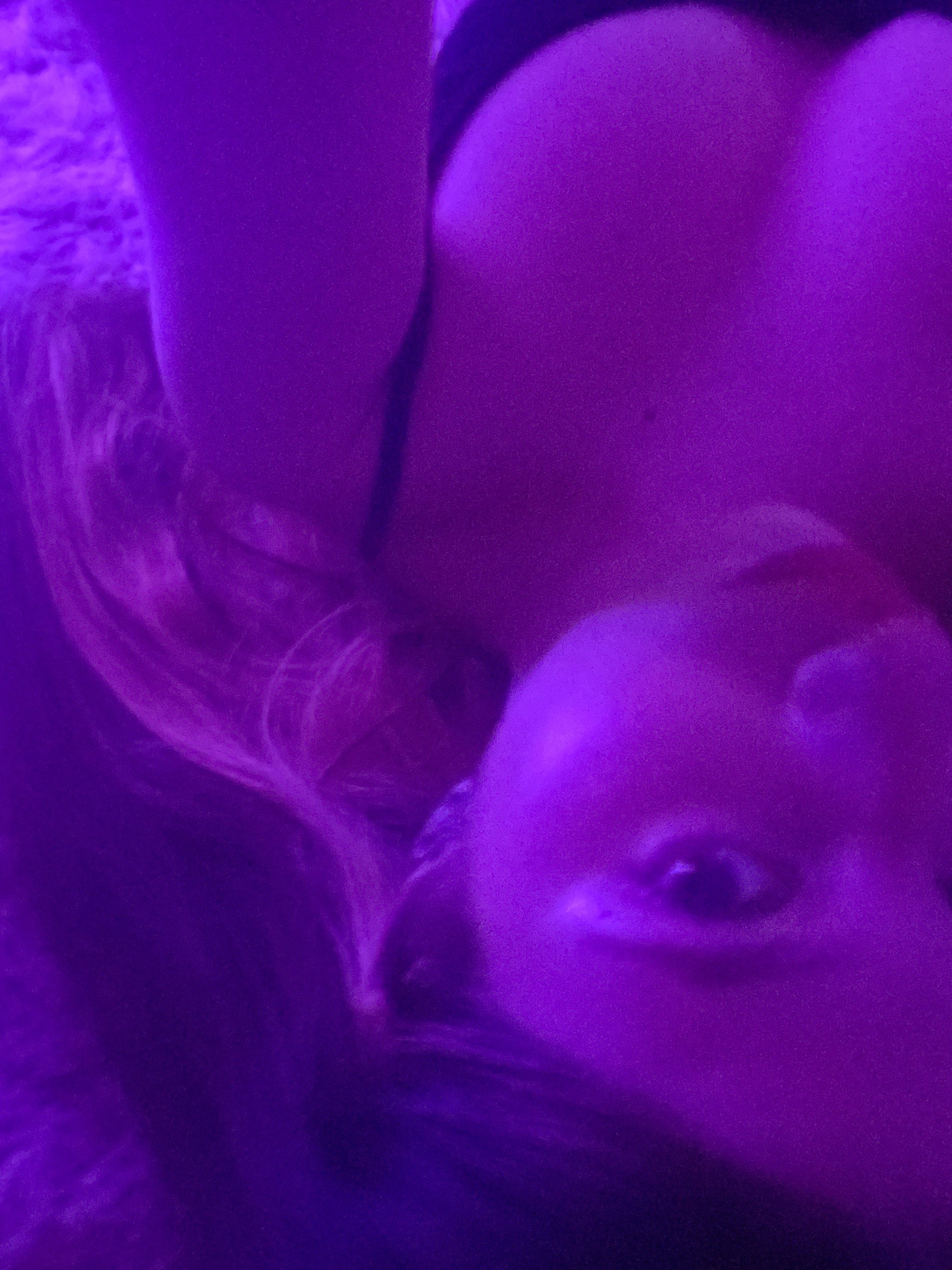 Откровенное селфи от Сони Кент. Откровенное селфи от Сони Кент.