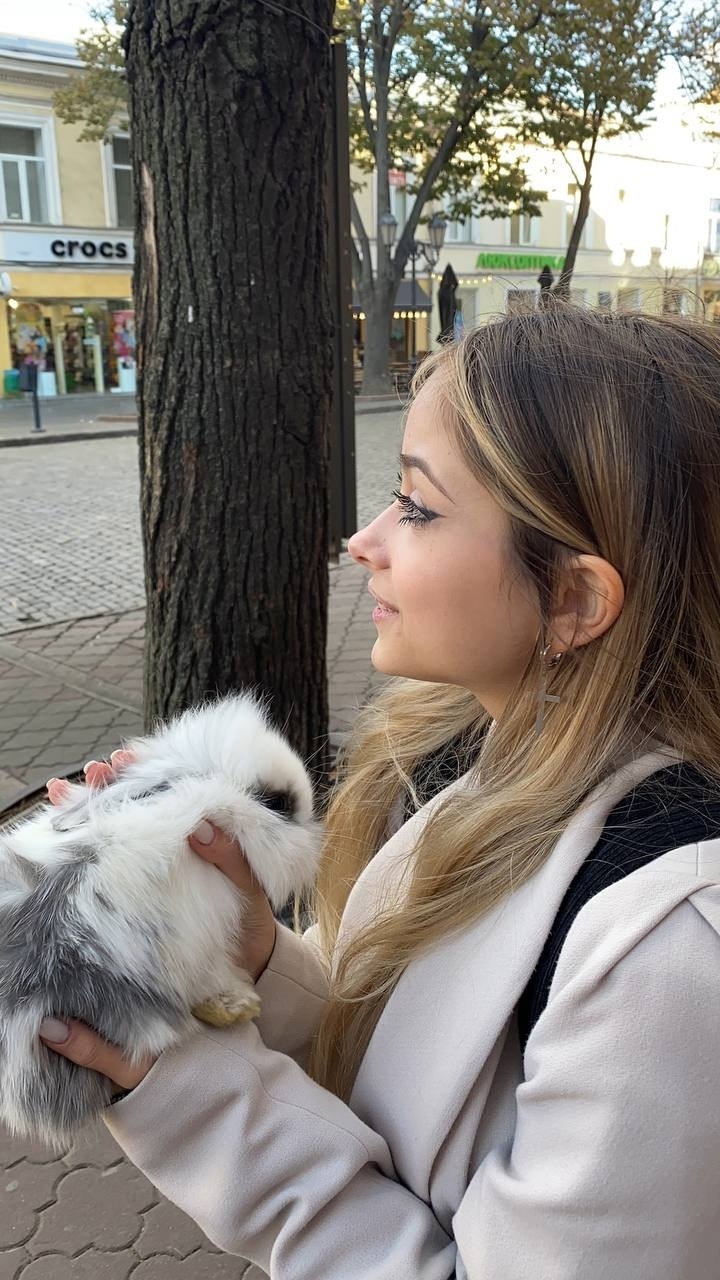 Хостинг картинок yapx.ru