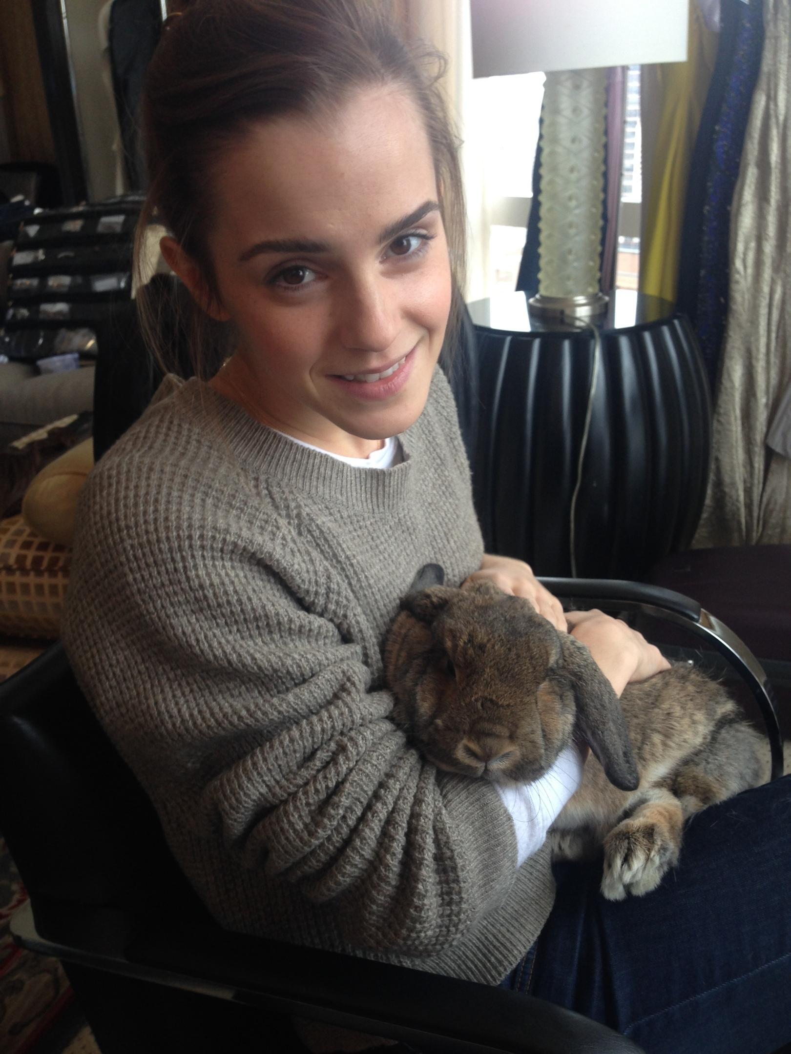 Хостинг картинок yapx.ru