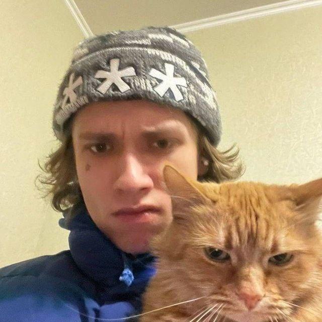 Смешное фото с суровым котом.