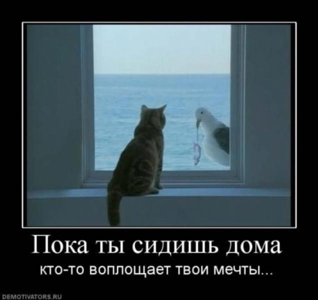 Хостинг картинок yapx.ru