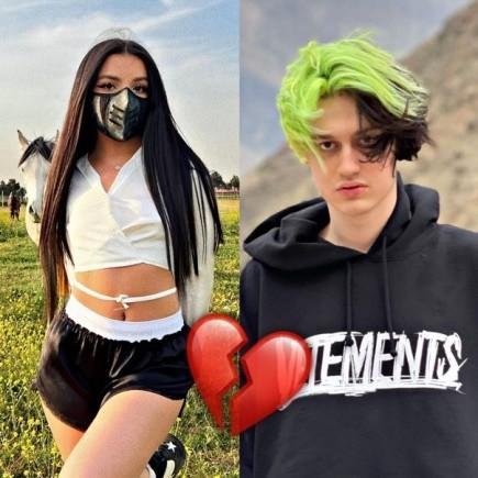 Сливы Амины тендерлибае и некоглая. Сливы Амины тендерлибае и некоглая.