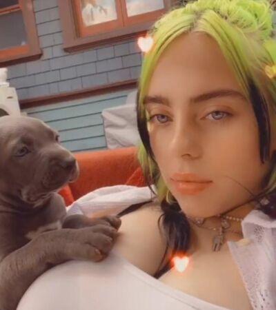 Горячие Фото Билли Айлиш Ягодицы Слив. Горячие Фото Билли Айлиш Ягодицы Слив.