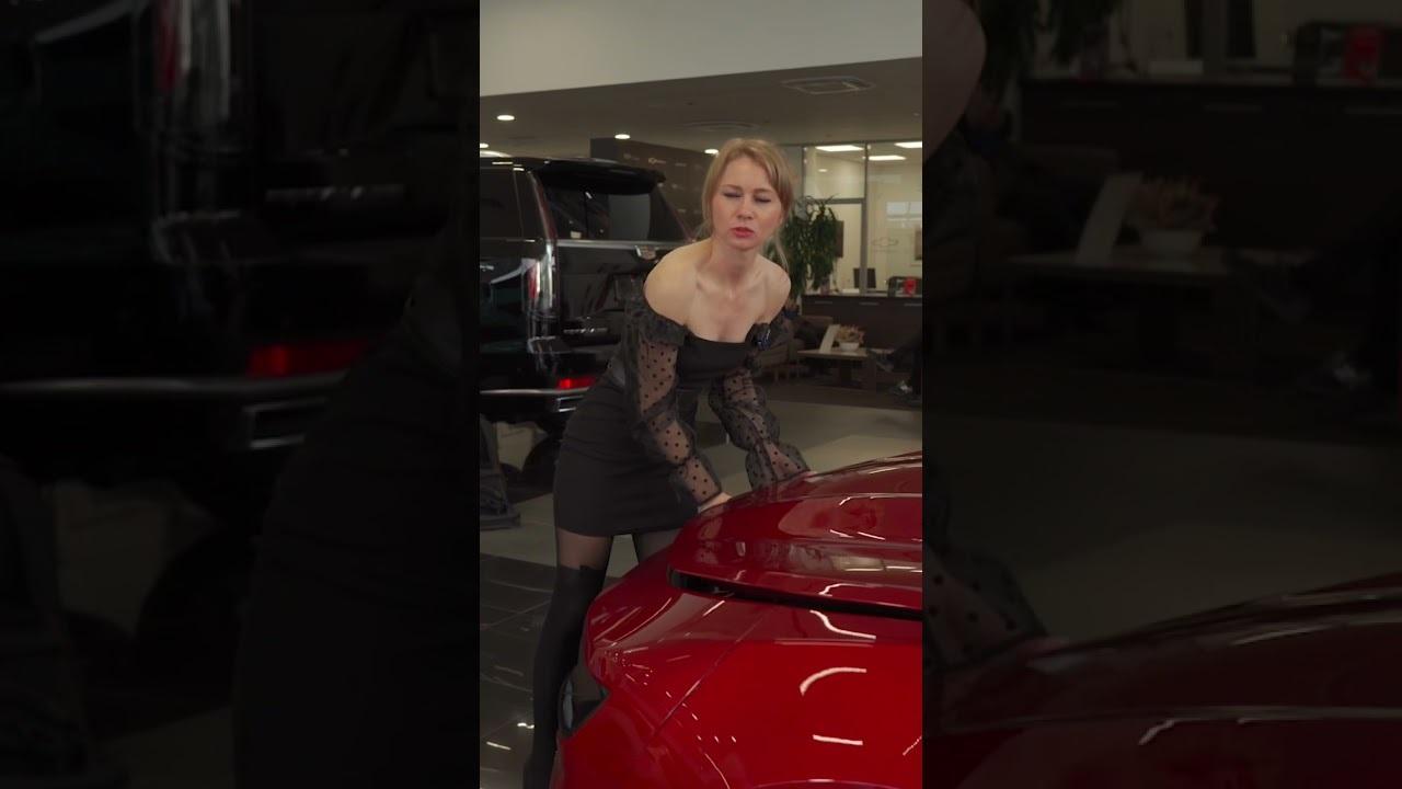 Хостинг картинок yapx.ru