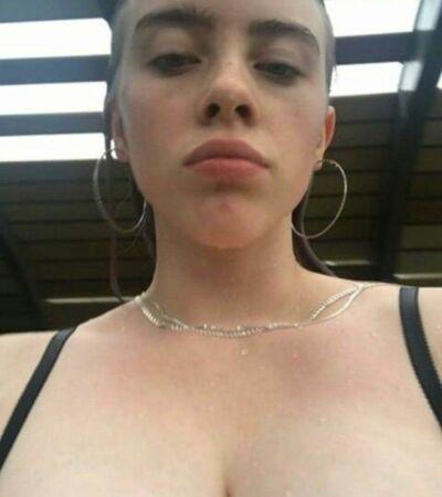 Слив певицы билли айлиш. Слив певицы билли айлиш.