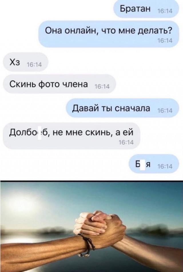 Хостинг картинок yapx.ru