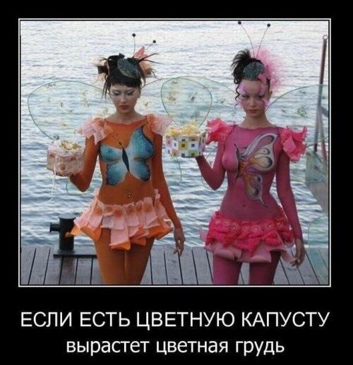 Хостинг картинок yapx.ru