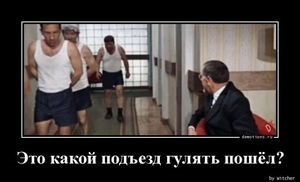 Хостинг картинок yapx.ru