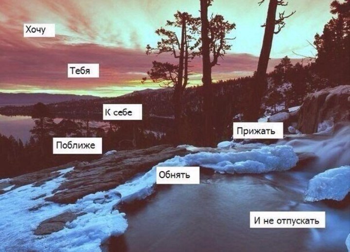 Хостинг картинок yapx.ru