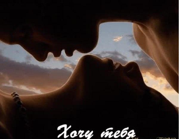 Хостинг картинок yapx.ru