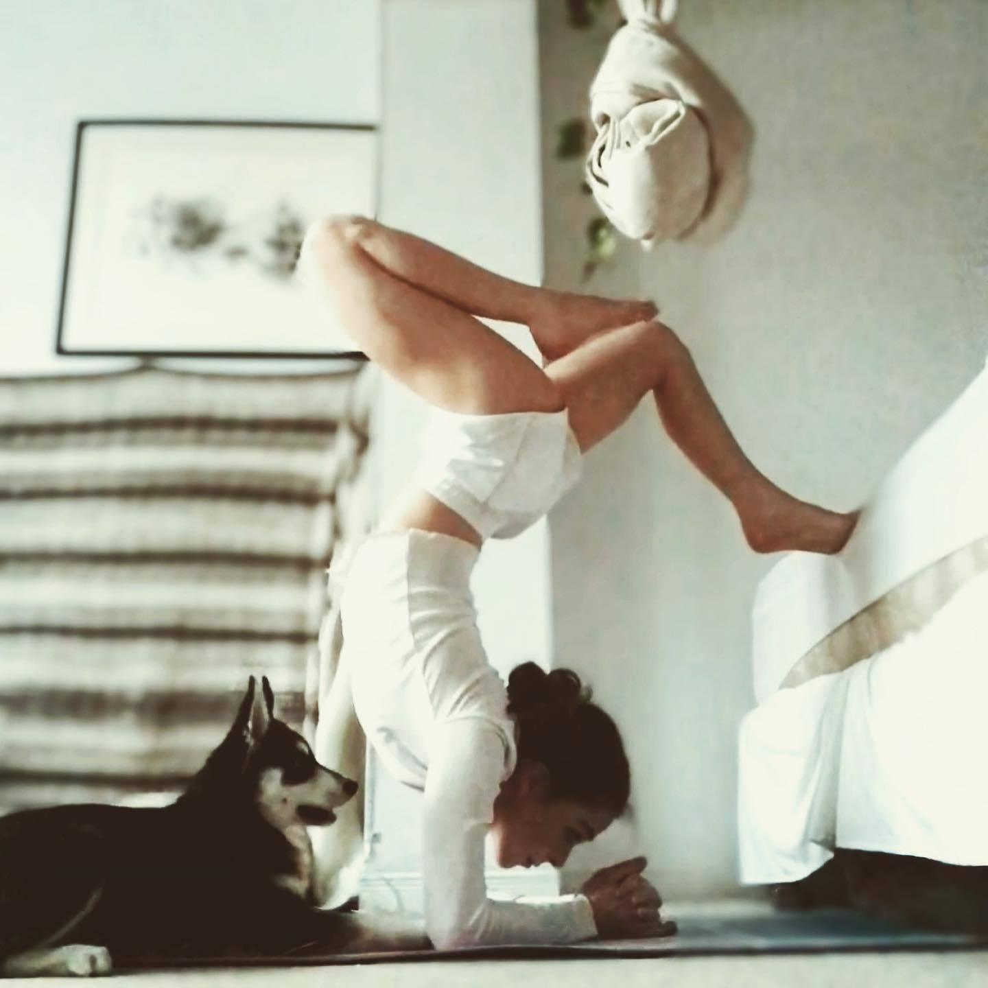 Хостинг картинок yapx.ru