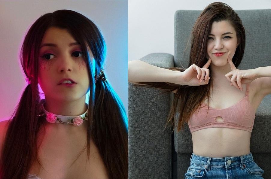 Сливы СТРИМЕРШИ ОЛЯШИ Сливы СТРИМЕРШИ ОЛЯШИ