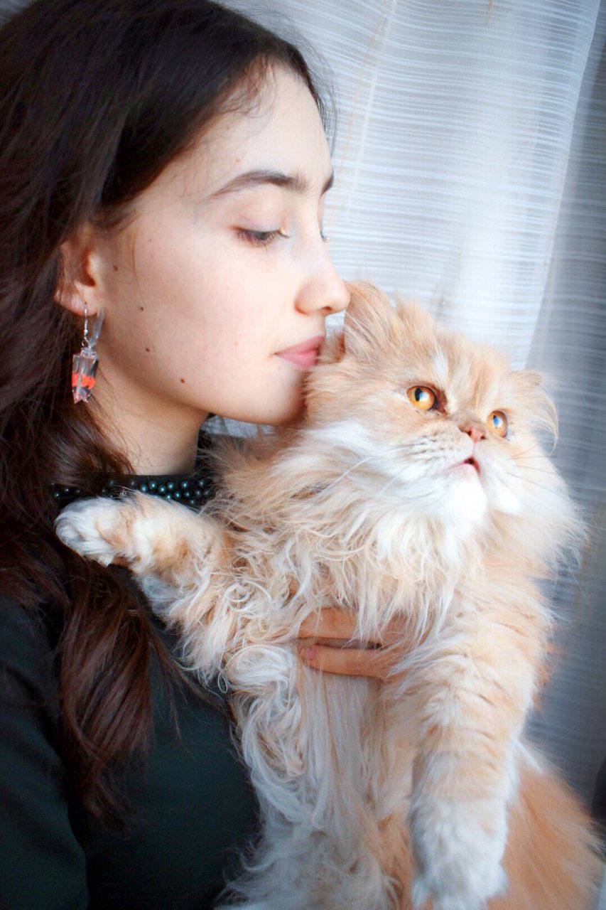 Мимишное фото с котом. Мимишное фото с котом.