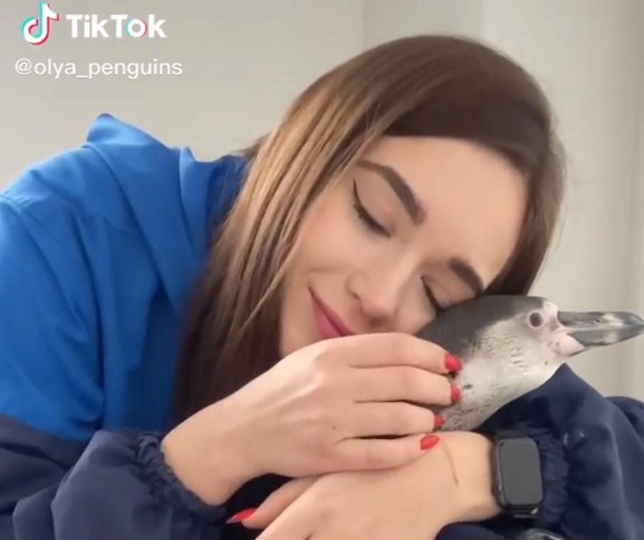 Хостинг картинок yapx.ru