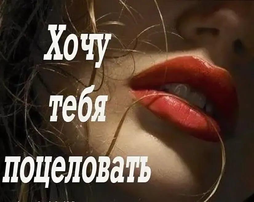 Хостинг картинок yapx.ru