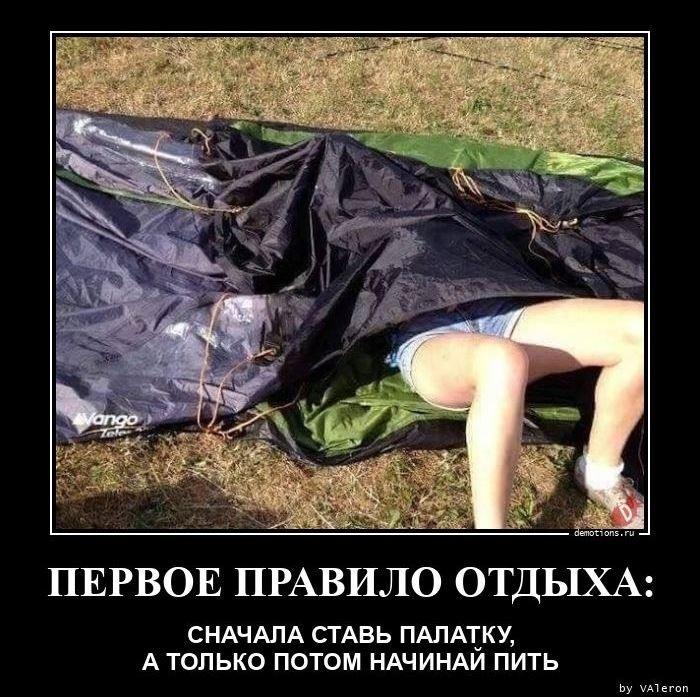 Хостинг картинок yapx.ru