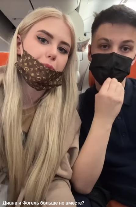 Диана Астер и Фогель слив. Диана Астер и Фогель слив.