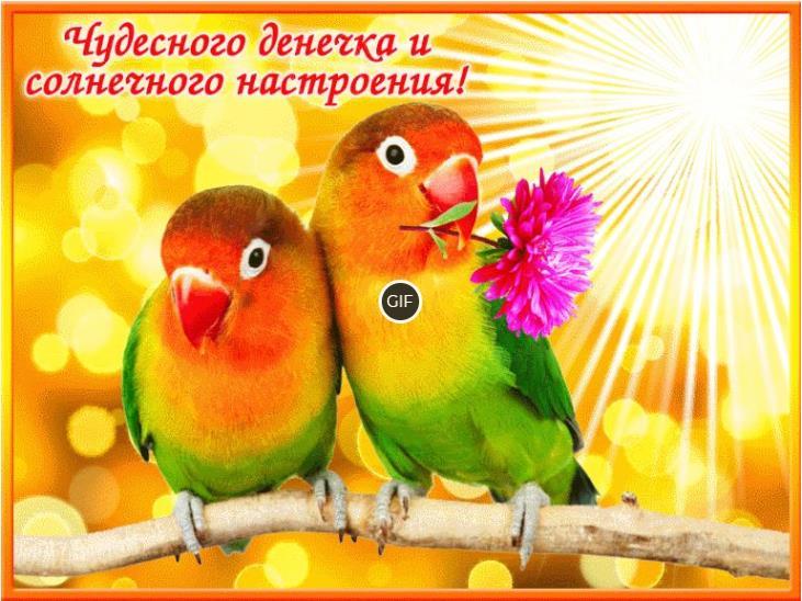 Гифки с добрым утром