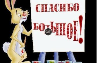 Гифки спасибо за внимание для презентации