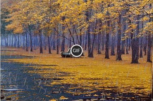 Гифки осенний дождь