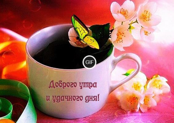 Гифки доброе утро и хорошего дня красивые 2024 (200 gif картинок)