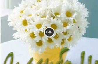 Гифки спасибо за внимание