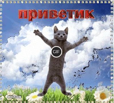 Гифки приветик прикольные