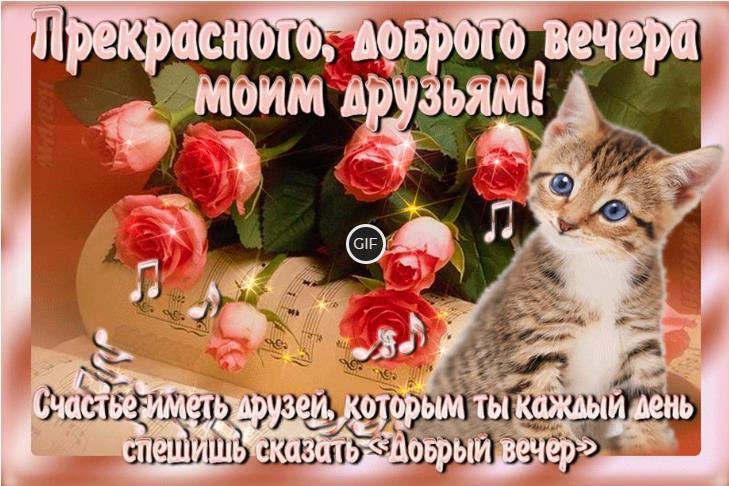Гифки добрый вечер друзья с пожеланиями красивые