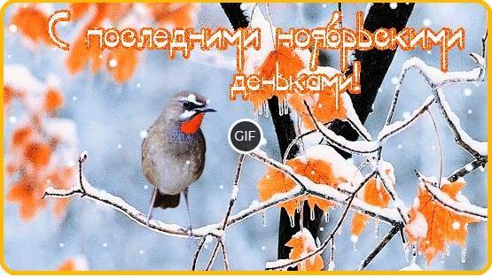 Гифки с последним днем ноября