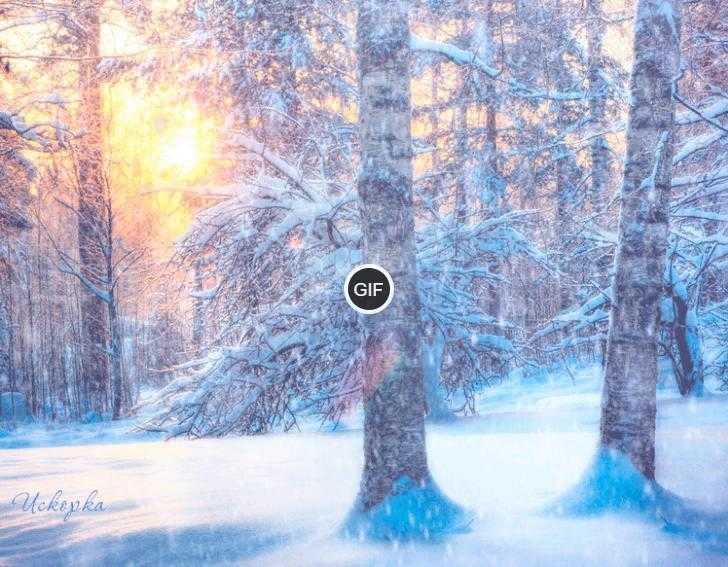 Зимний лес картинки Gif